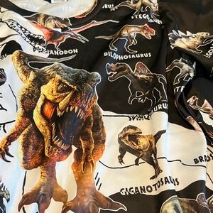 🌹Kids dinosaur T-Shirt. NWOT